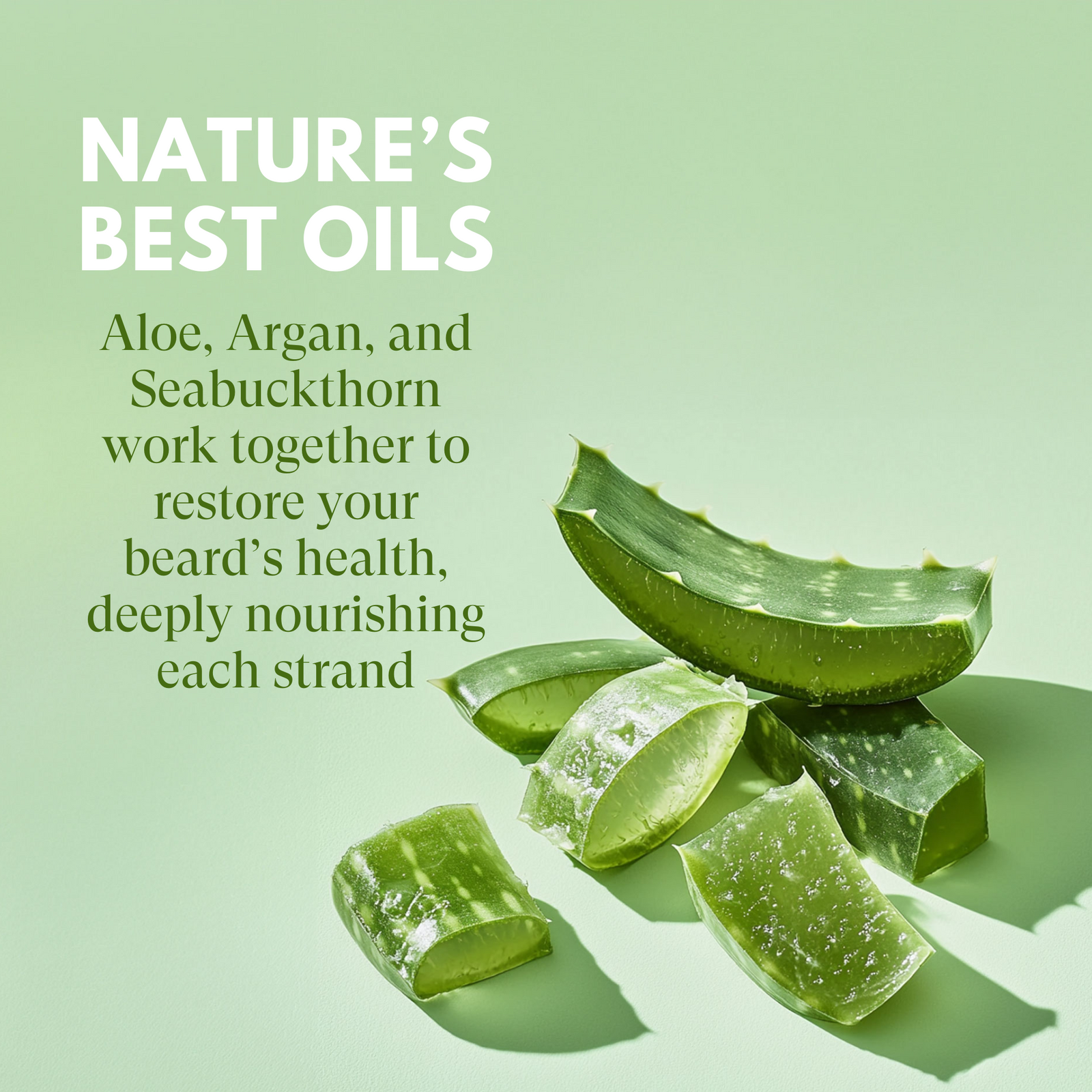 Aloe vera slices on a light green background with text about nature's best oils.