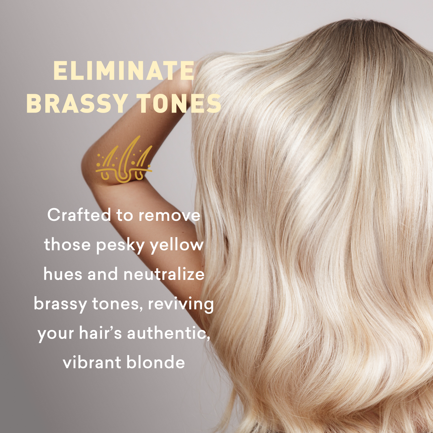 Blonde hair with text about eliminating brassy tones on a gray background