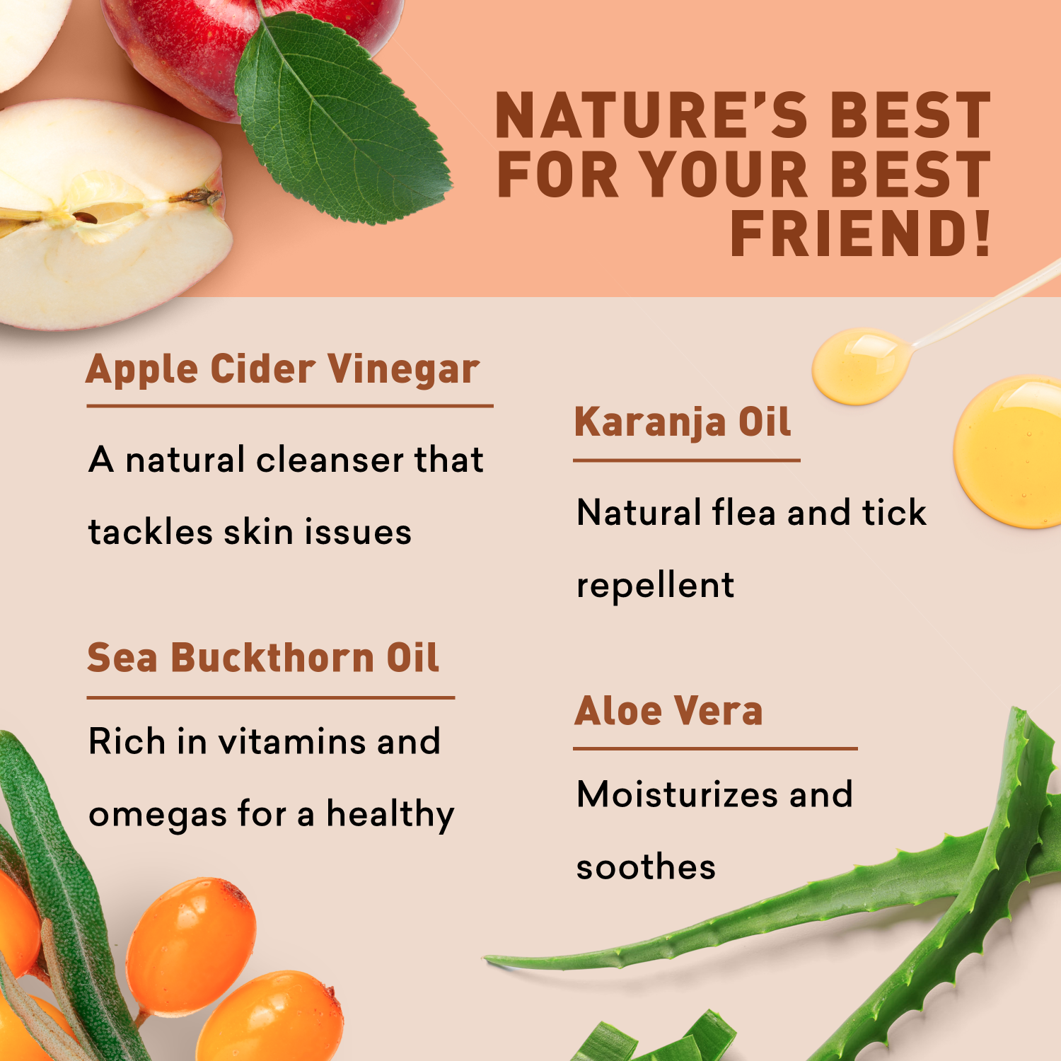 Product advertisement with natural ingredients like apple cider vinegar, karanja oil, sea buckthorn oil, and aloe vera on a light background.