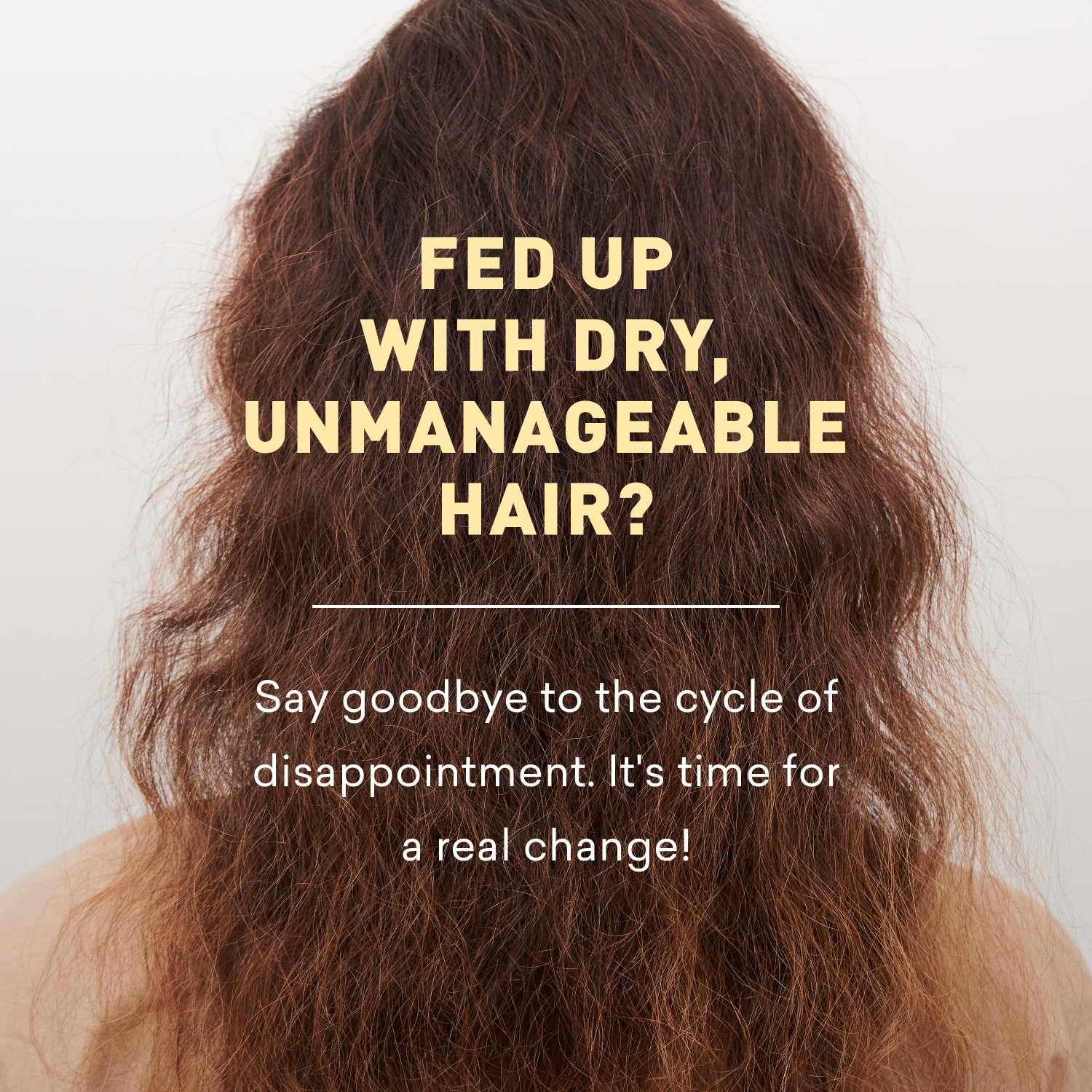 Text overlay on a person with dry, unmanageable hair against a white background