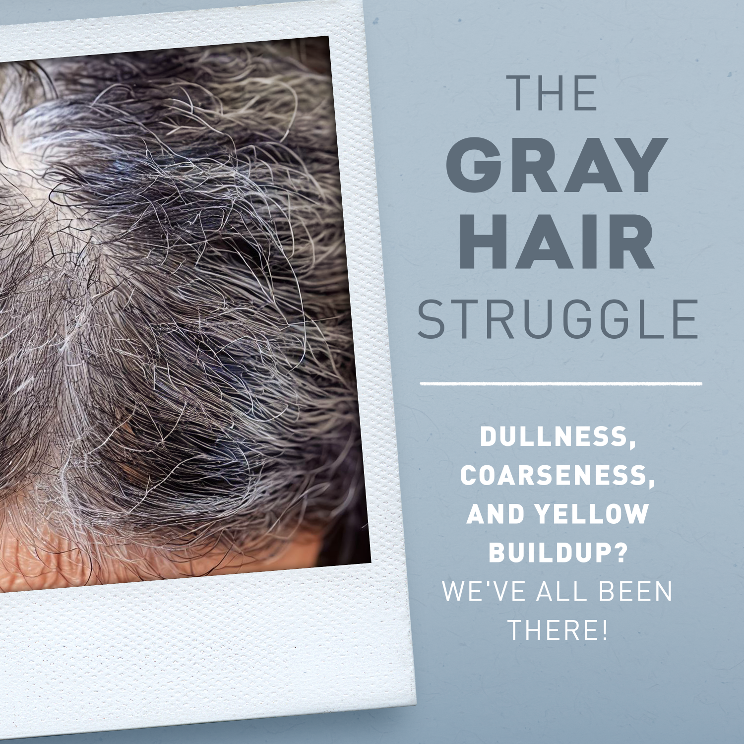 Gray Hair Clarifying Duo