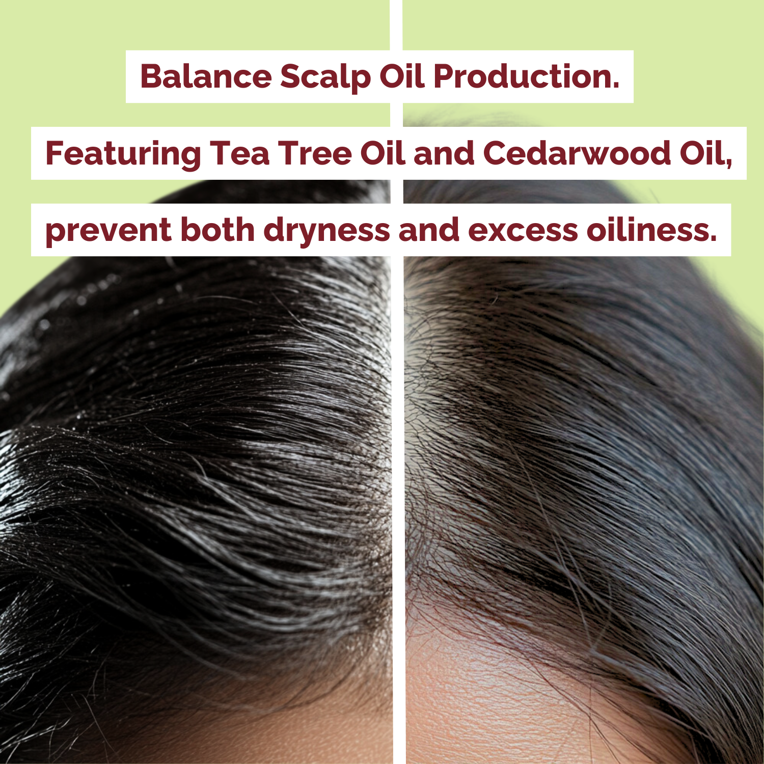 Close-up of scalp with text about balancing scalp oil production using Tea Tree Oil and Cedarwood Oil.