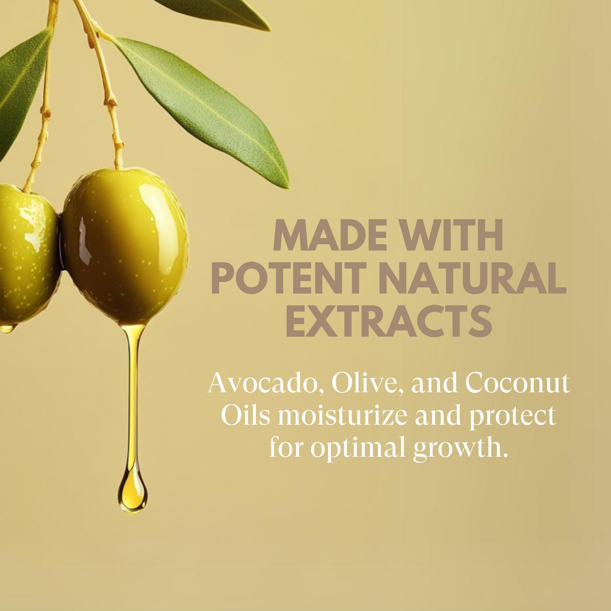 Olive oil droplet with olive branch on a beige background, featuring text about natural extracts.