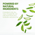 Aloe vera leaves arranged in a pattern with text about natural ingredients on a white background.