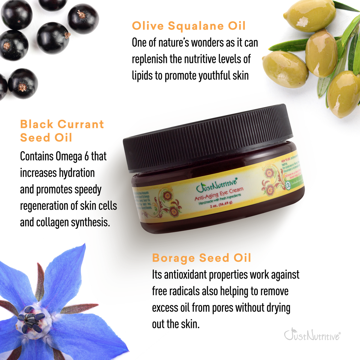 Eye cream jar with olive, black currant, and borage seed oil text on a white background