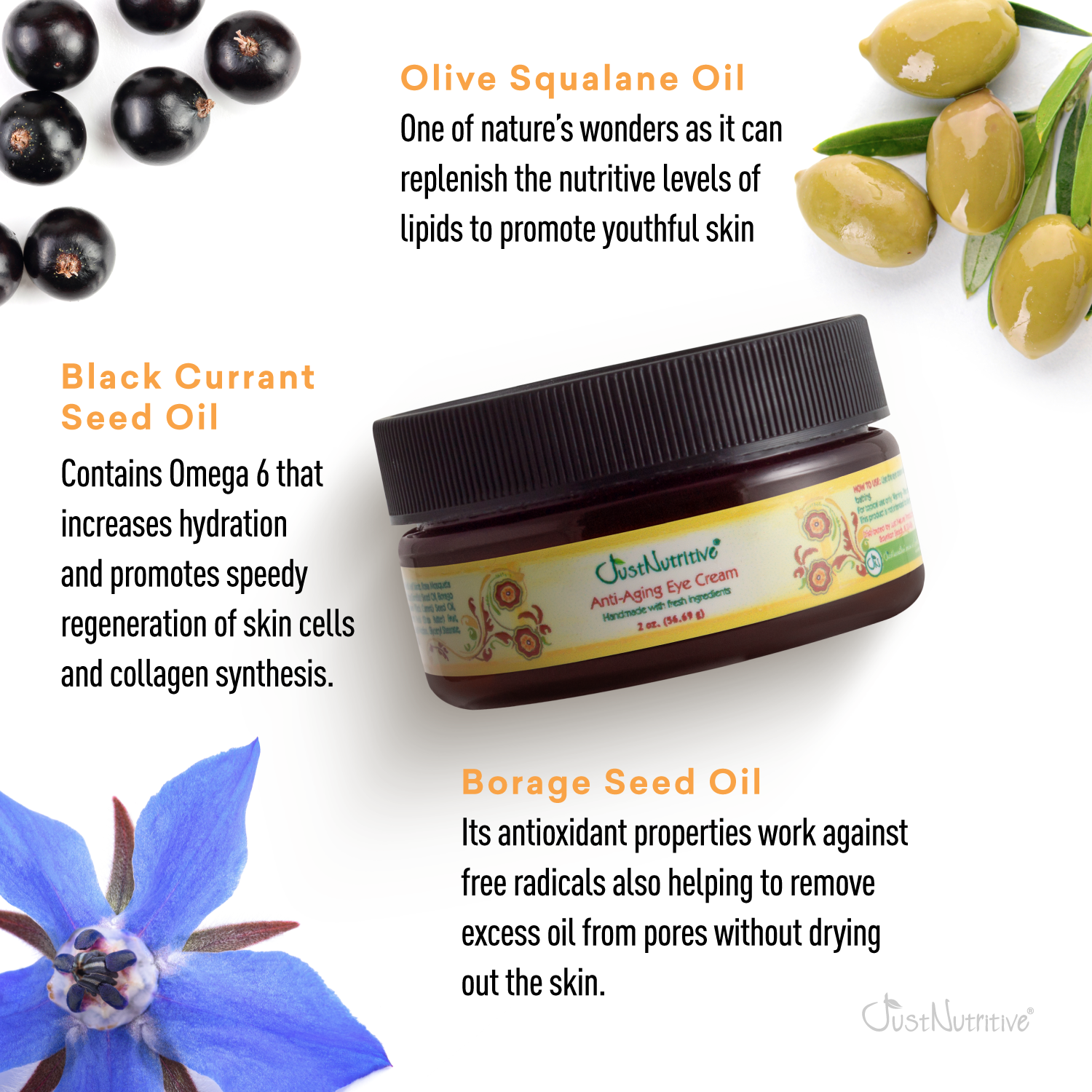 Eye cream jar with olive, black currant, and borage seed oil text on a white background