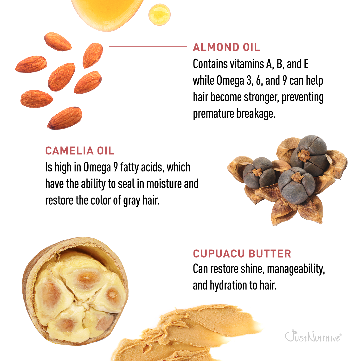Illustration of almond, camellia, and cupuacu butter with text on their benefits for hair health.