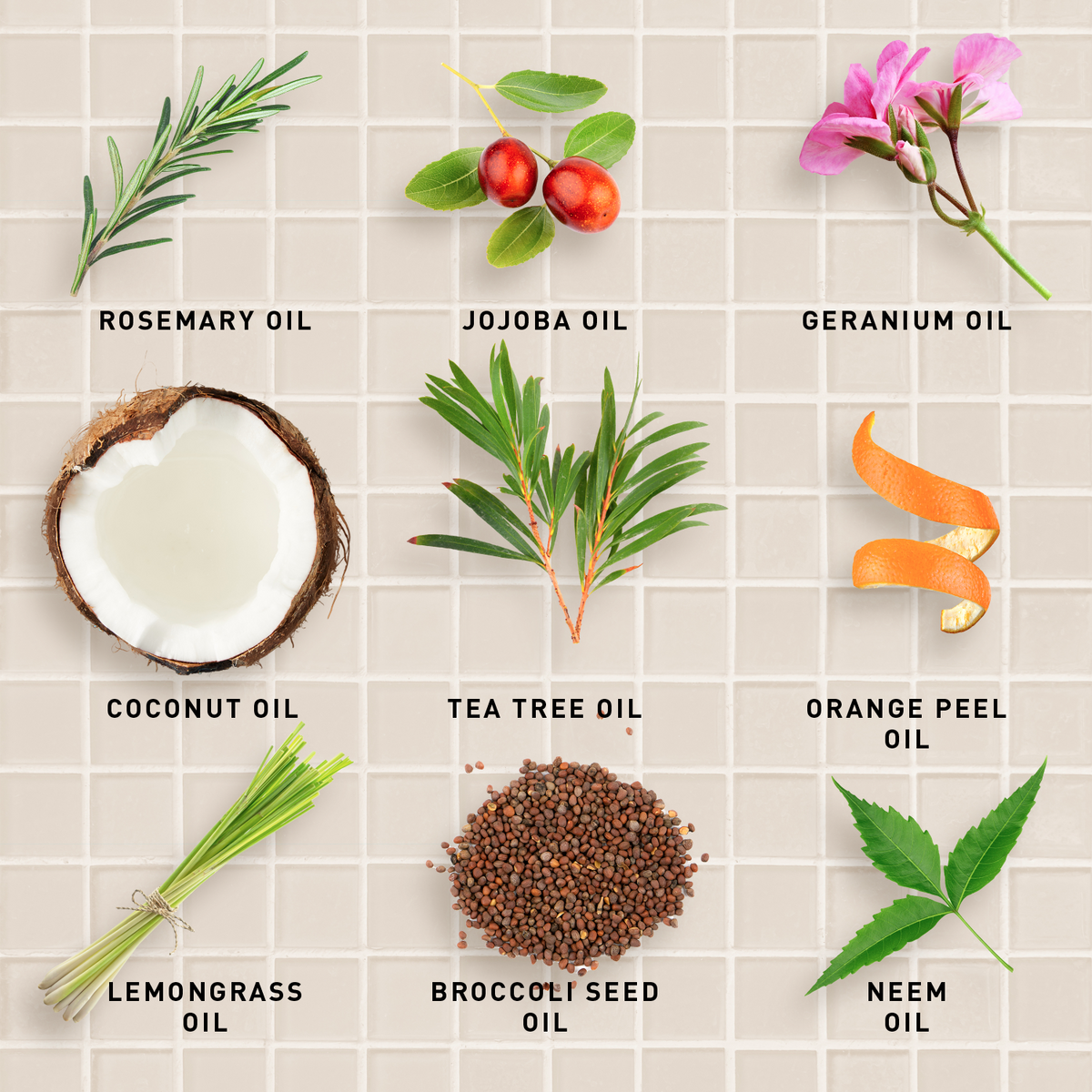 Collection of various oils and their names on a grid background