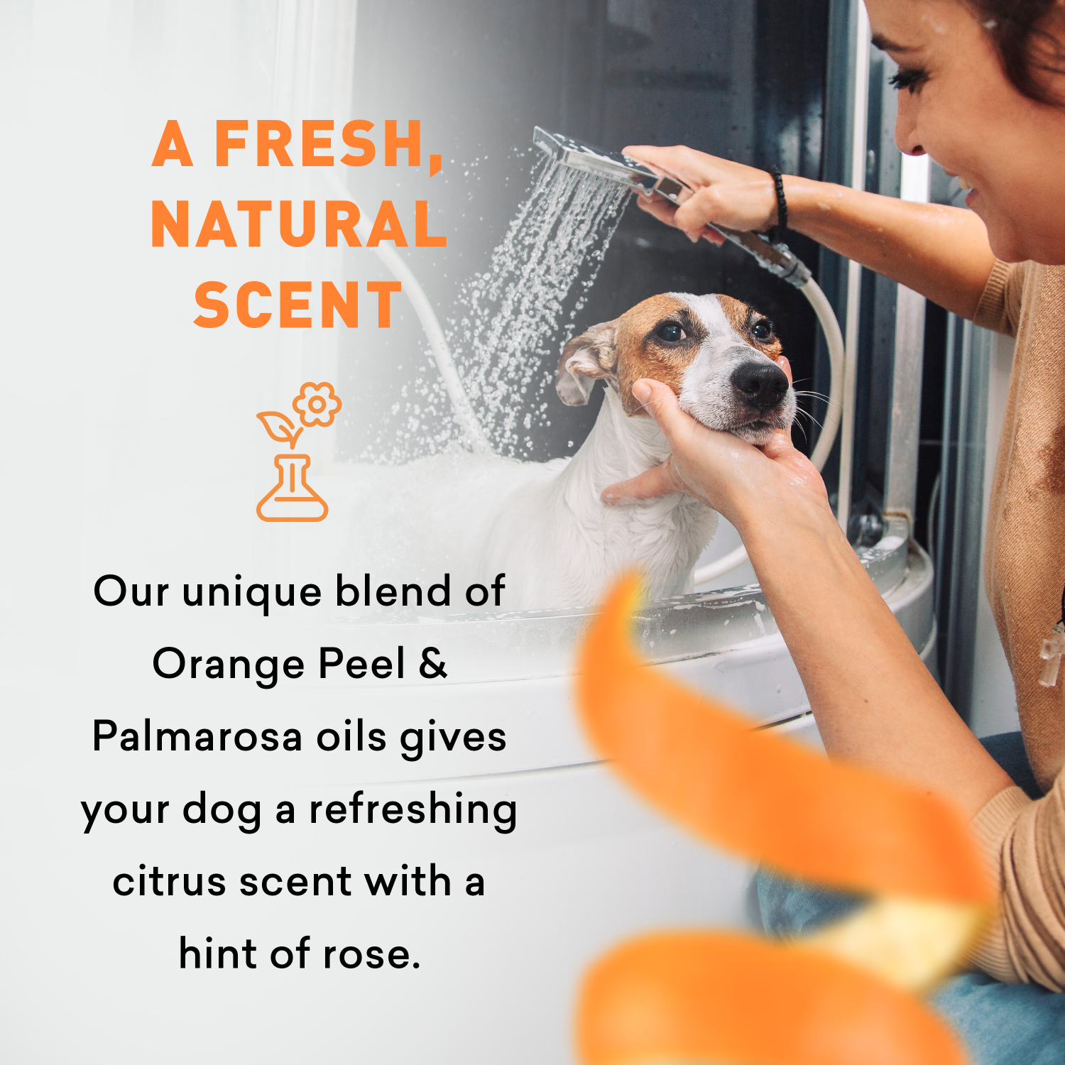 Person washing a dog with showerhead, text about natural scent blend.