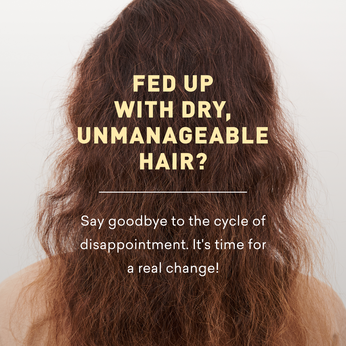 Text overlay on a person with dry, unmanageable hair against a white background