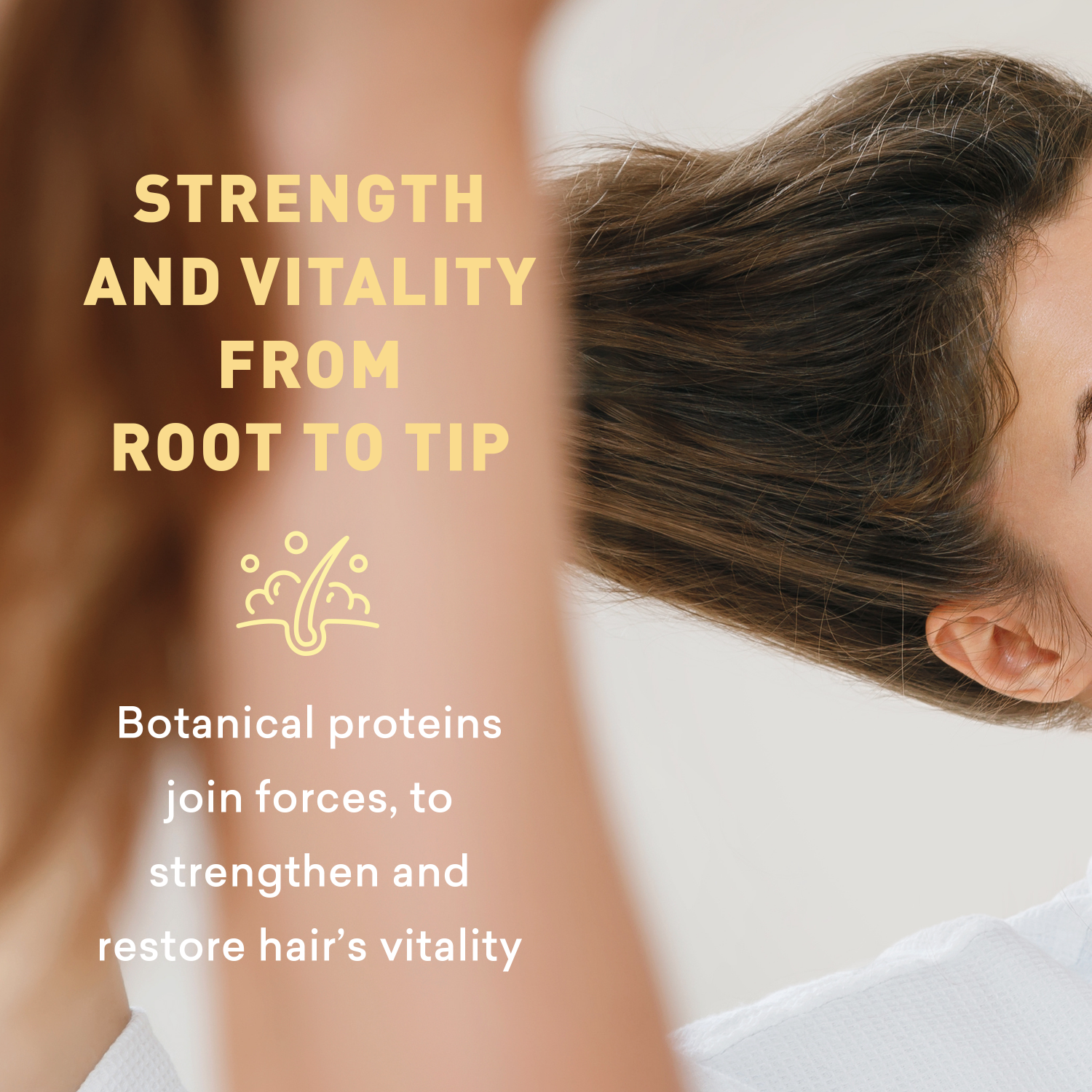 Person with styled hair and text about botanical proteins for hair health on a light background
