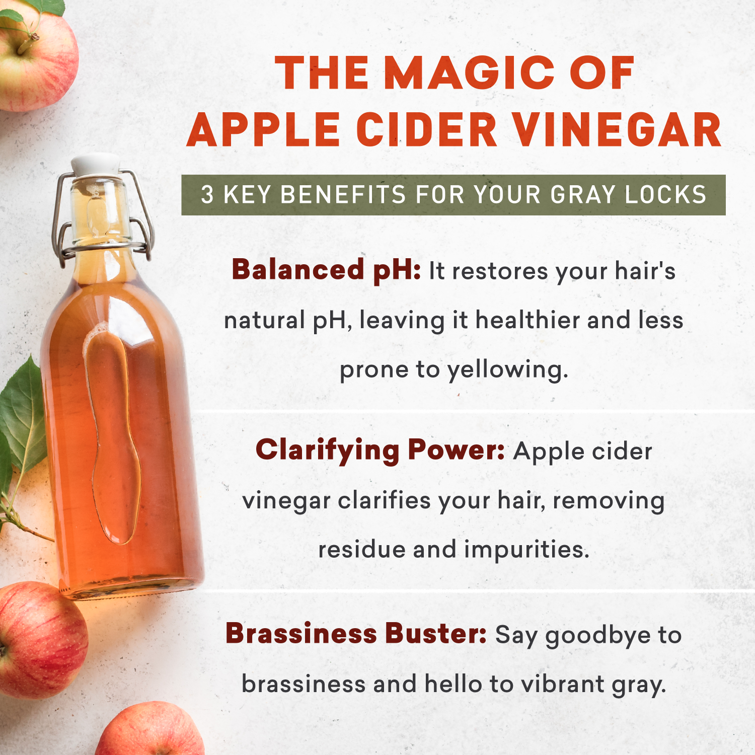 Gray Hair Clarifying Duo