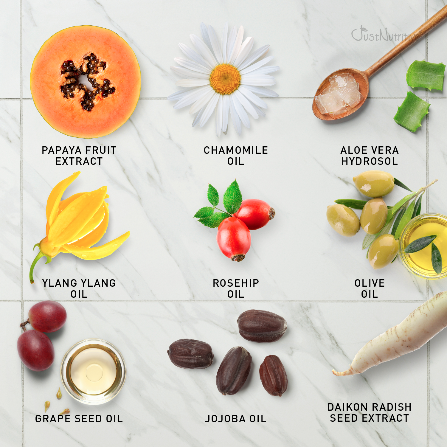 Collection of skincare ingredients including papaya fruit extract, chamomile oil, aloe vera hydrosol, ylang ylang oil, rosehip oil, olive oil, grape seed oil, jojoba oil, and daikon radish seed extract on a white background.