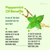 Peppermint oil benefits with a mint leaf on a light green background