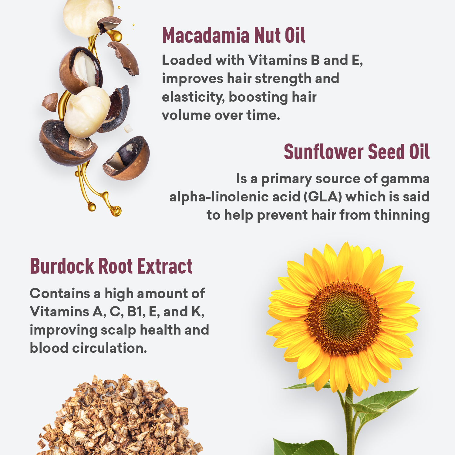 Product ingredients with macadamia nut oil, sunflower seed oil, and burdock root extract displayed on a white background.