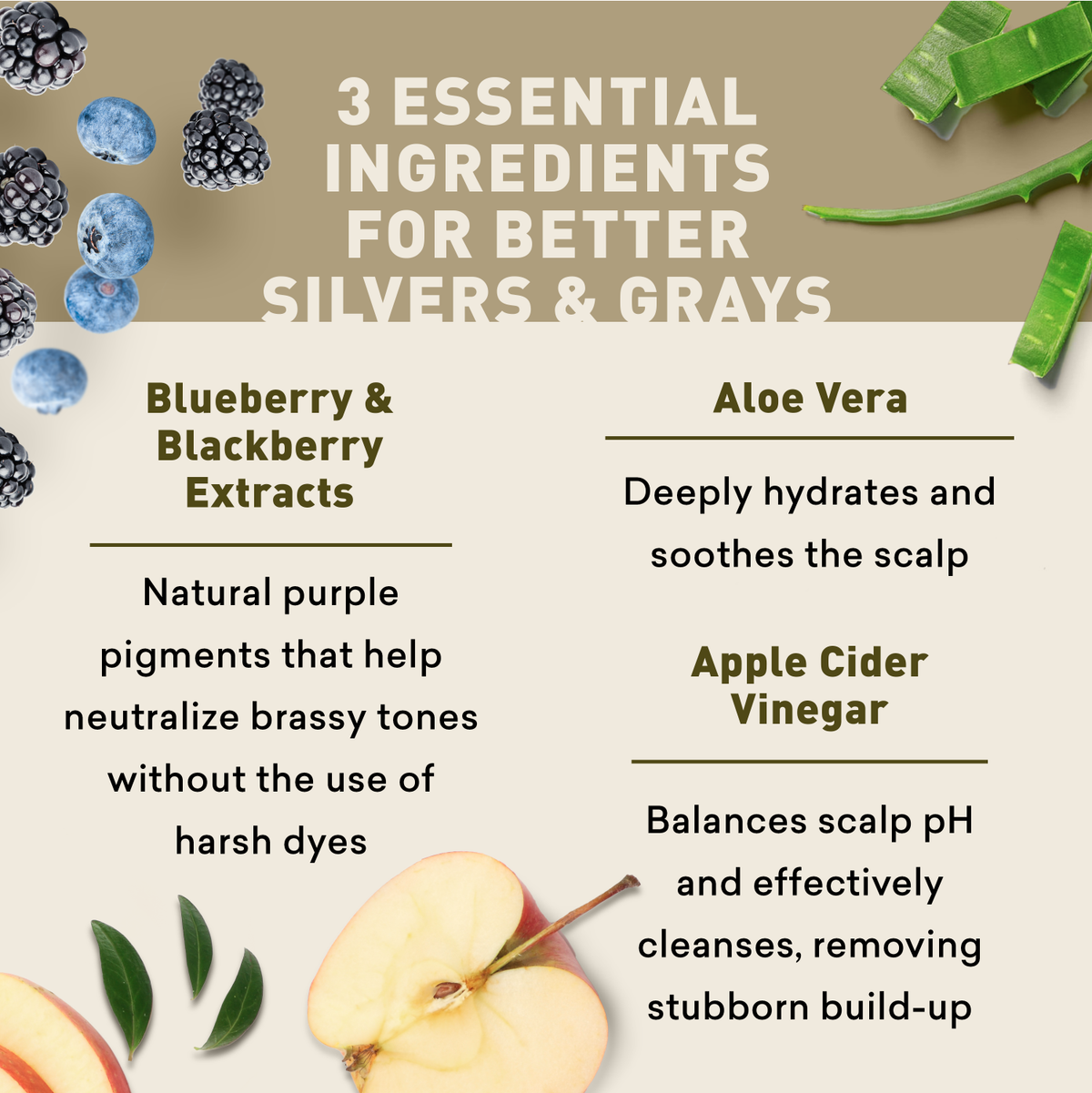 Product packaging with ingredients for better silvers and grays on a beige background