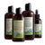 Set of four brown bottles with labels on a white background